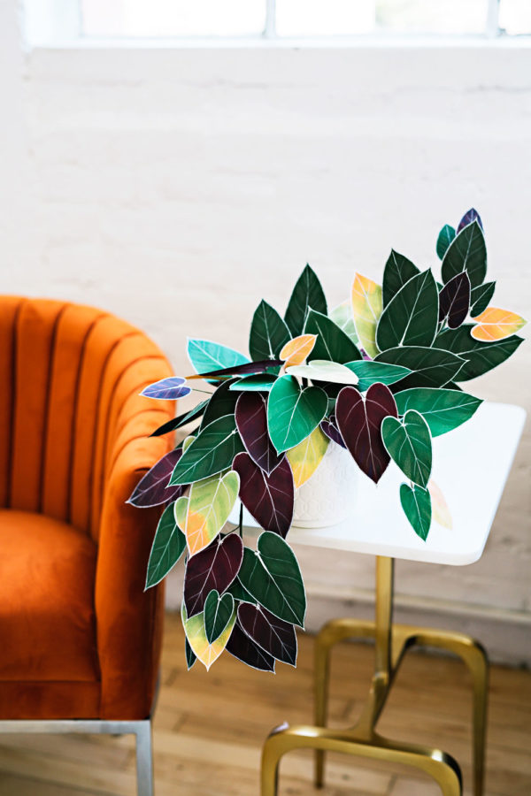 Handcrafted Paper Foliage | Philodendron | Corrie Beth Hogg