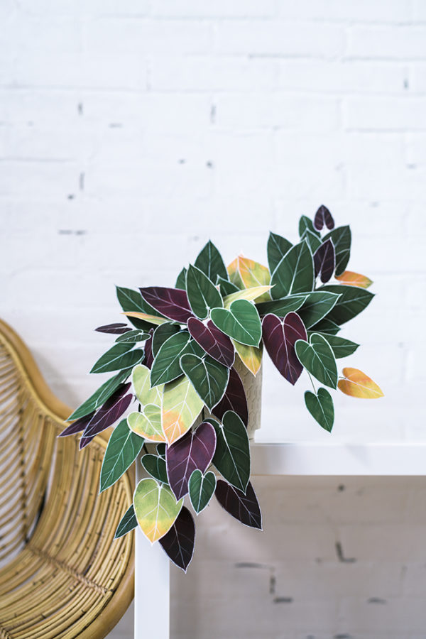 Handcrafted Paper Foliage | Philodendron | Corrie Beth Hogg