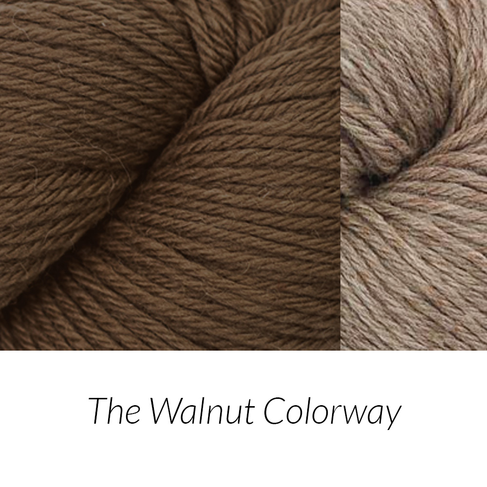 A Tunisian Crochet Workshop | Toni Lipsey | The Walnut Colorway | The Crafter's Box