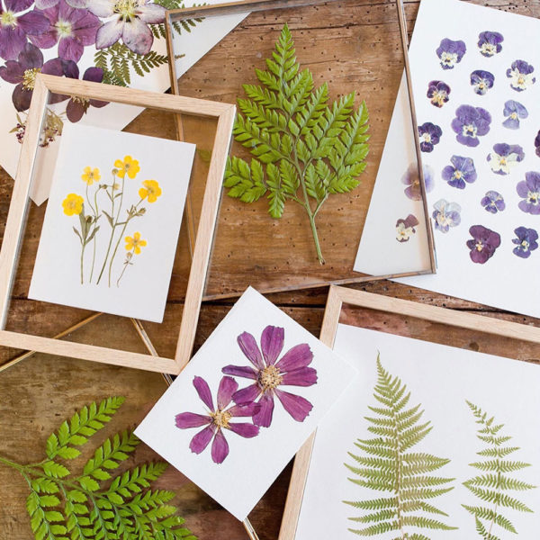 Pressed Florals | The Crafter's Box
