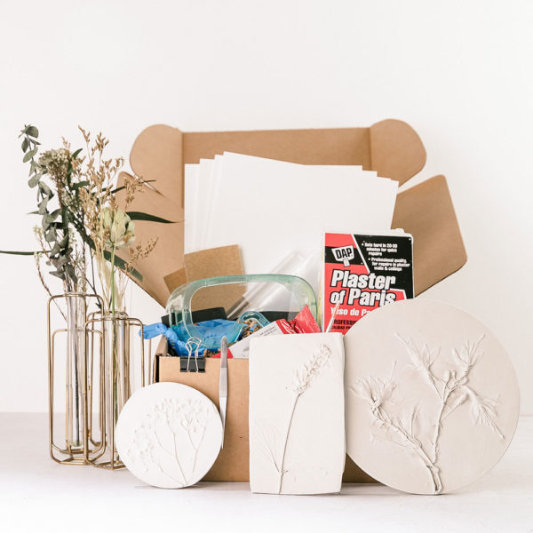 Botanical Plaster Casting | Liz Wagner | The Crafter's Box