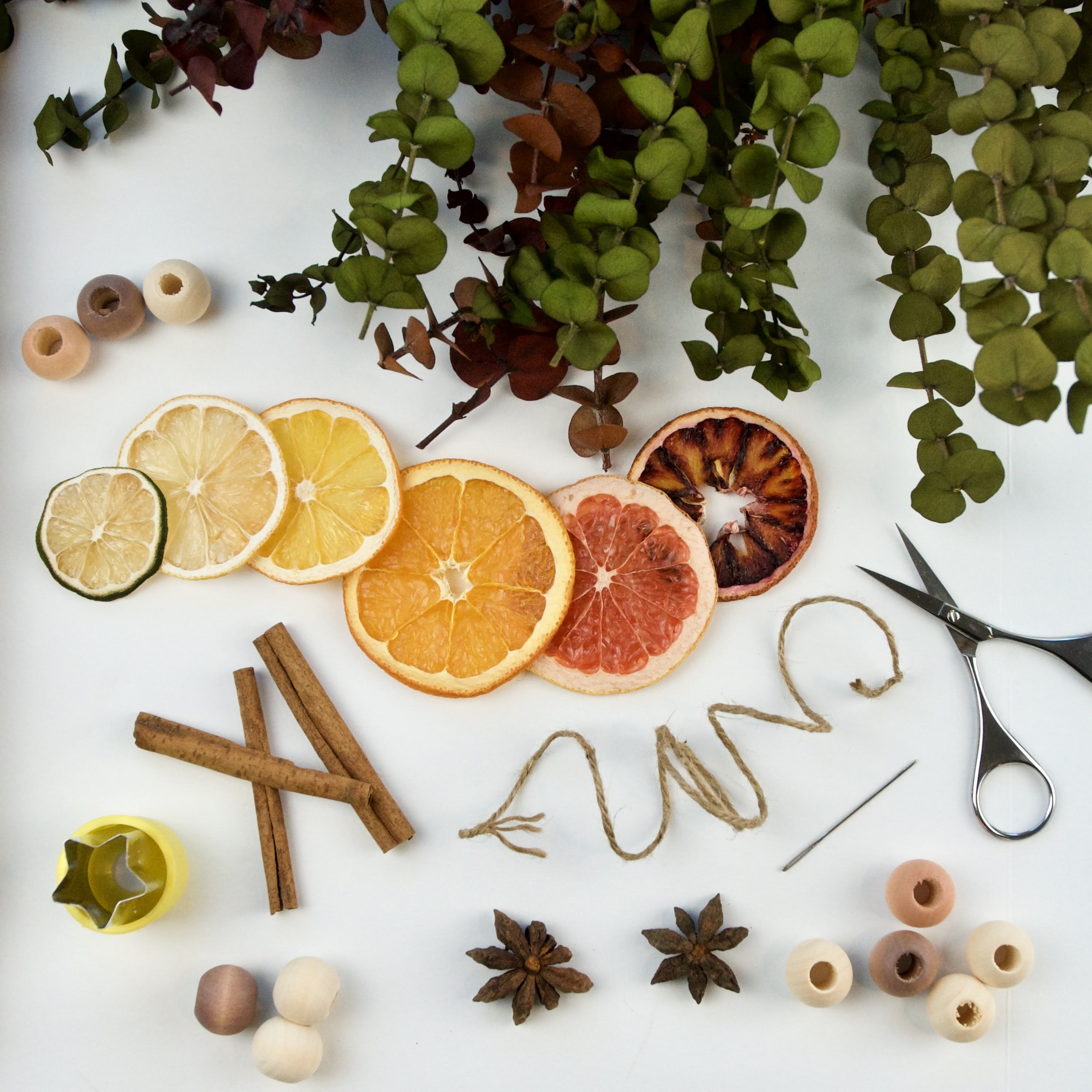 Dried Citrus Holiday Decor | Make-Along with Amanda Whited | The Crafter's Community