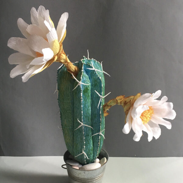 Crepe Paper Flowering Cactus Digital Pattern