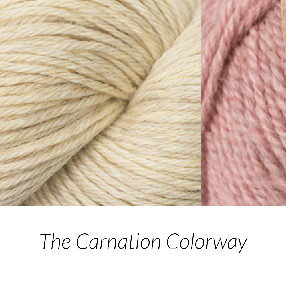 A Tunisian Crochet Workshop | Toni Lipsey | The Carnation Colorway | The Crafter's Box