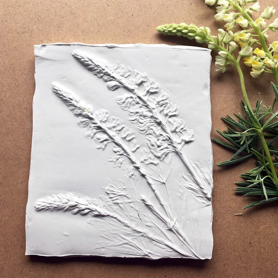 Botanical Plaster Casting Workshop by @elkbio | Crafter